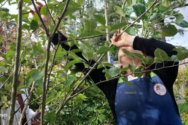 WhatsApp Image 2025-12-09 at 10.58.01