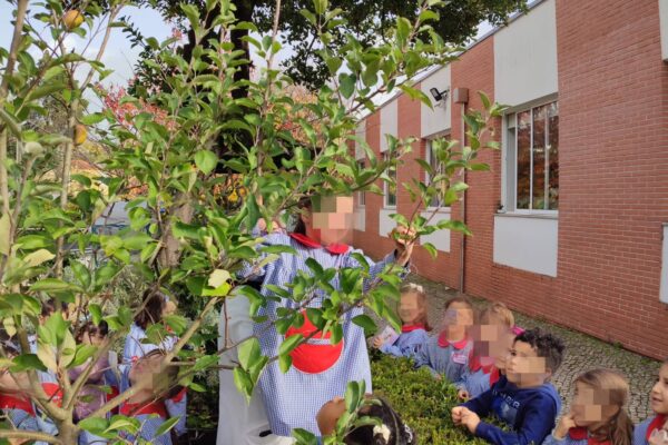 WhatsApp Image 2025-12-09 at 10.58.02 (2)