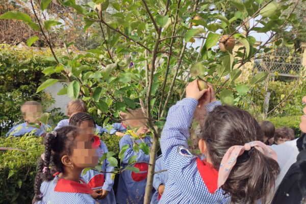 WhatsApp Image 2025-12-09 at 10.58.02 (3)