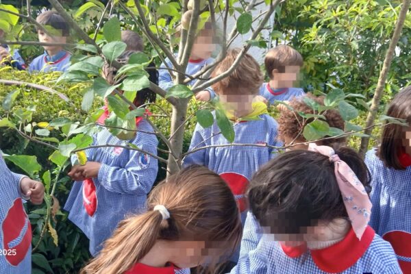 WhatsApp Image 2025-12-09 at 10.58.02