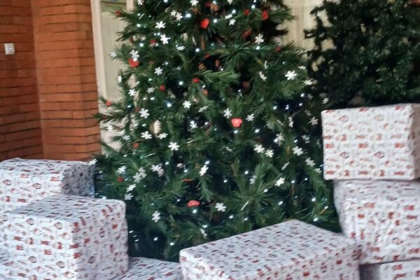 WhatsApp Image 2025-12-15 at 12.41.12 (10)