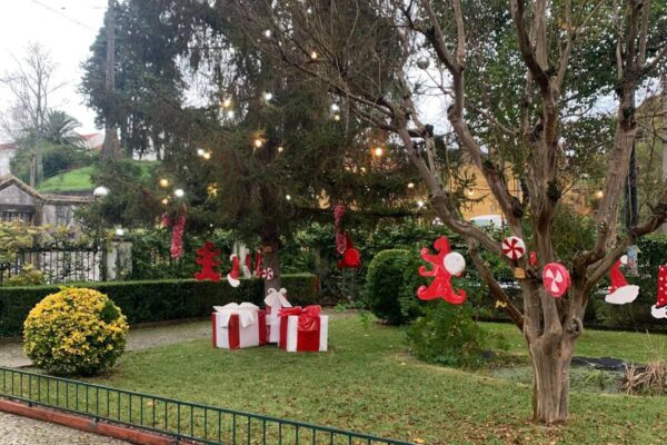 WhatsApp Image 2025-12-15 at 12.41.12 (14)