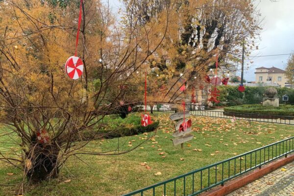 WhatsApp Image 2025-12-15 at 12.41.12 (15)