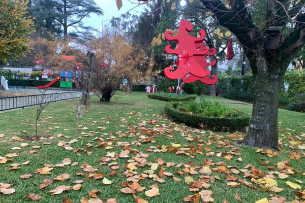 WhatsApp Image 2025-12-15 at 12.41.12 (16)