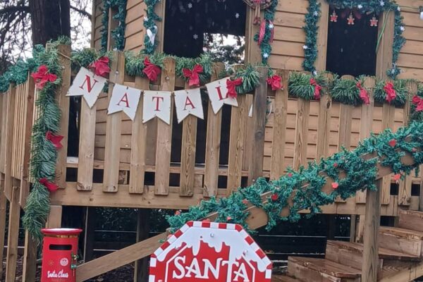 WhatsApp Image 2025-12-15 at 12.41.12 (21)