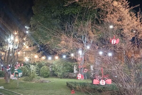 WhatsApp Image 2025-12-15 at 12.41.12 (29)