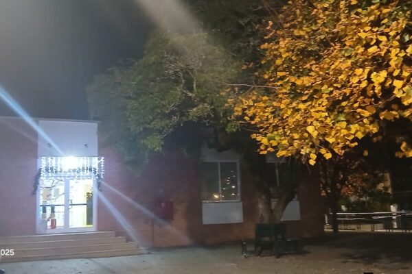 WhatsApp Image 2025-12-15 at 12.41.12 (31)