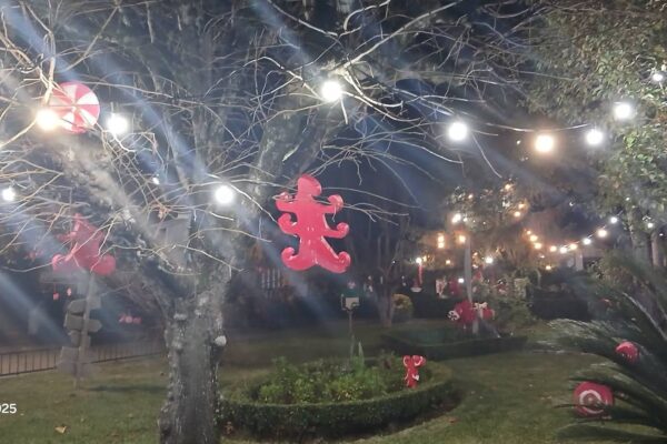 WhatsApp Image 2025-12-15 at 12.41.12 (32)