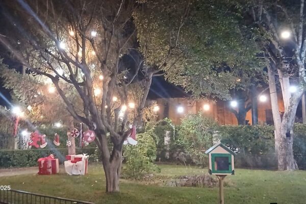 WhatsApp Image 2025-12-15 at 12.41.12 (33)