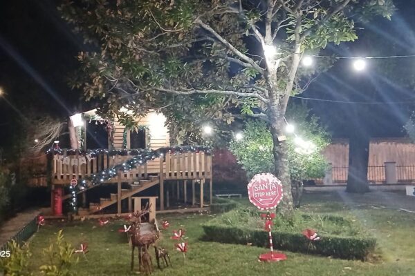 WhatsApp Image 2025-12-15 at 12.41.12 (35)