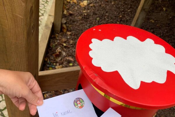 WhatsApp Image 2025-12-15 at 12.41.12