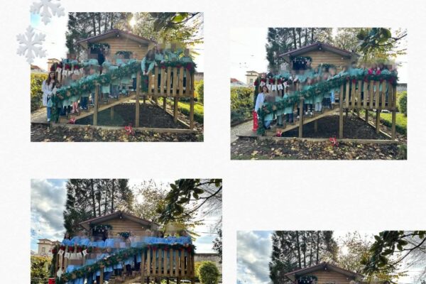 WhatsApp Image 2025-12-15 at 12.41.12 (7)