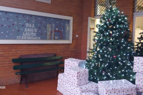 WhatsApp Image 2025-12-15 at 12.41.12 (8)