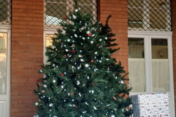 WhatsApp Image 2025-12-15 at 12.41.12 (9)