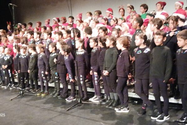 WhatsApp Image 2025-12-15 at 12.41.17 (2)