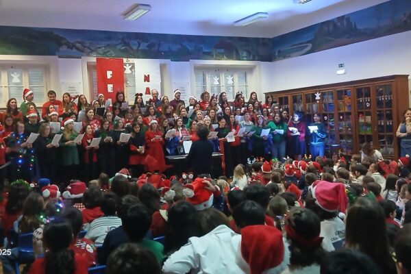 WhatsApp Image 2025-12-19 at 12.15.02 (1)