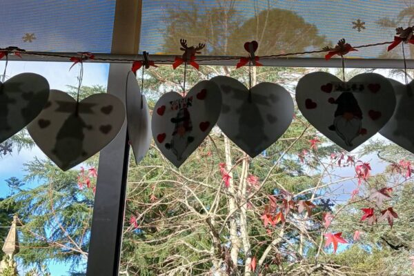 WhatsApp Image 2025-12-23 at 11.43.16