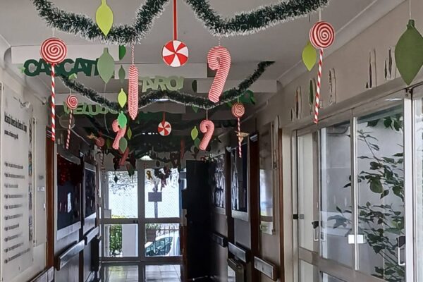 WhatsApp Image 2025-12-23 at 11.43.17