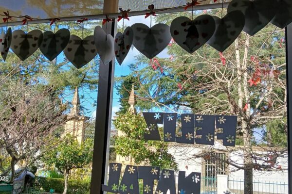 WhatsApp Image 2025-12-23 at 11.43.18 (5)