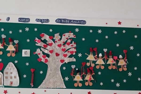 WhatsApp Image 2025-12-23 at 11.43.19 (3)