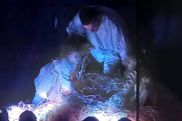 WhatsApp Image 2026-01-08 at 10.51.43 (17)