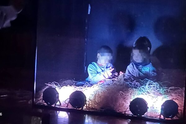 WhatsApp Image 2026-01-08 at 10.51.43 (4)