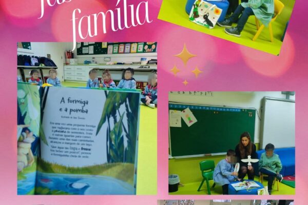 WhatsApp Image 2026-01-26 at 11.26.43