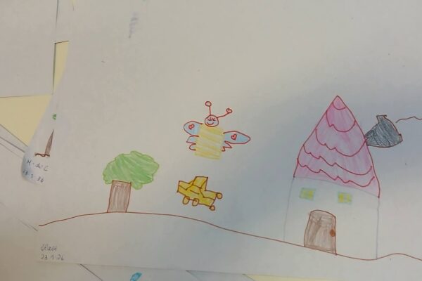 WhatsApp Image 2026-01-26 at 11.26.44