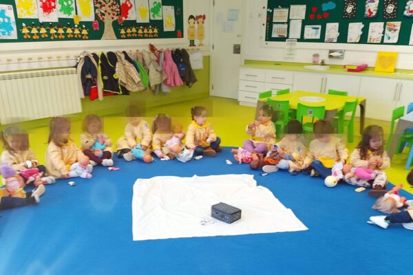 WhatsApp Image 2026-02-03 at 11.33.36