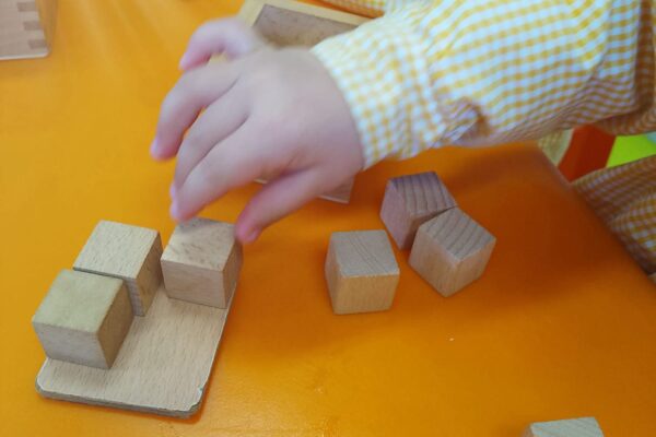 WhatsApp Image 2026-02-11 at 09.53.31