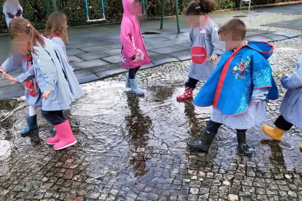 WhatsApp Image 2026-02-11 at 09.53.32 (2)