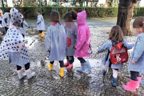 WhatsApp Image 2026-02-11 at 09.53.32 (3)