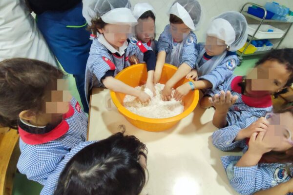 WhatsApp Image 2026-02-19 at 15.29.57 (4)