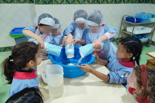 WhatsApp Image 2026-02-19 at 15.29.57 (5)