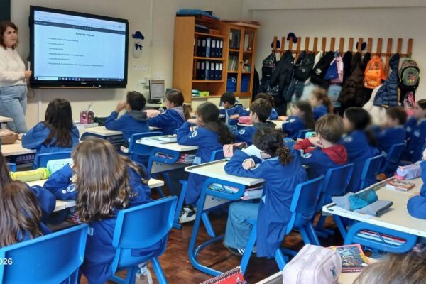 WhatsApp Image 2026-02-19 at 15.29.57