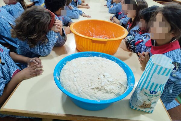 WhatsApp Image 2026-02-19 at 15.29.58 (2)