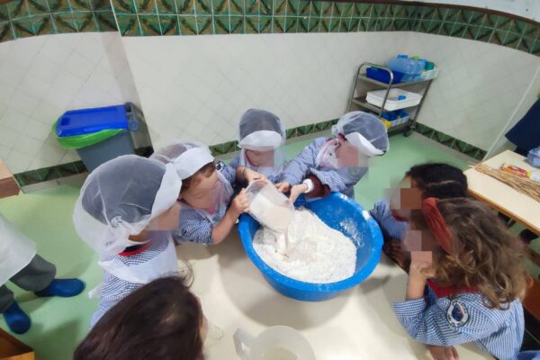 WhatsApp Image 2026-02-19 at 15.29.58 (3)