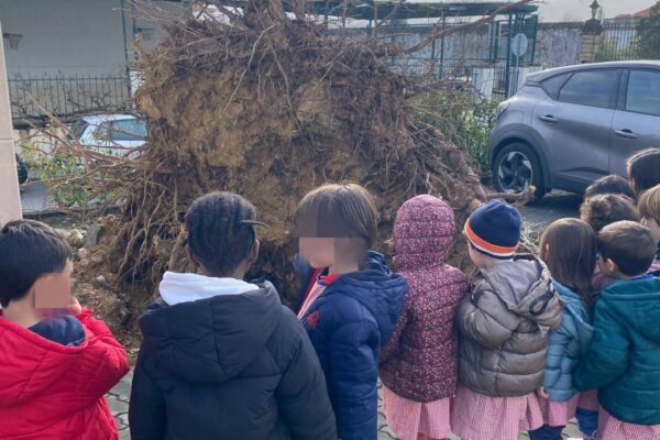 WhatsApp Image 2026-02-19 at 15.29.58 (4)