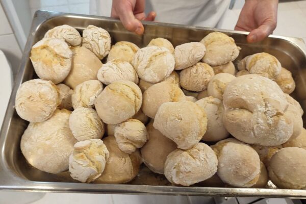 WhatsApp Image 2026-02-19 at 15.29.58