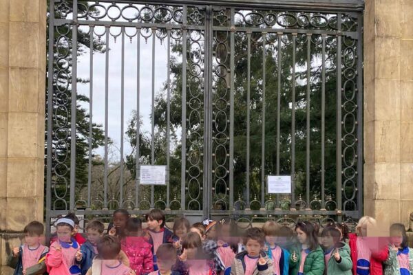 WhatsApp Image 2026-02-19 at 15.29.59 (4)