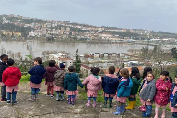 WhatsApp Image 2026-02-19 at 15.29.59 (5)