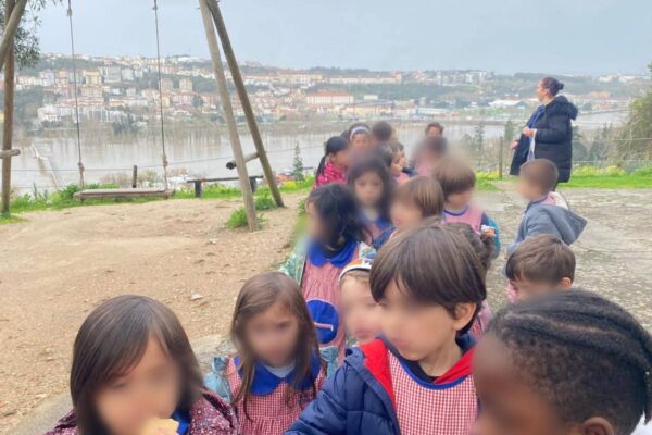 WhatsApp Image 2026-02-19 at 15.29.59