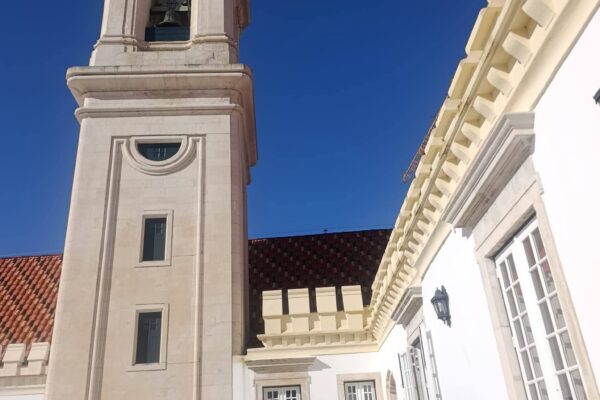 WhatsApp Image 2026-02-24 at 11.46.38