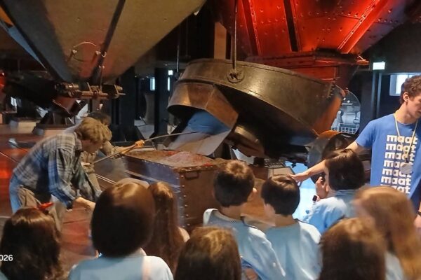 WhatsApp Image 2026-02-24 at 11.46.39 (4)