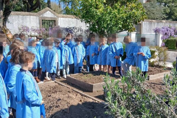 WhatsApp Image 2026-03-27 at 11.32.09 (29)