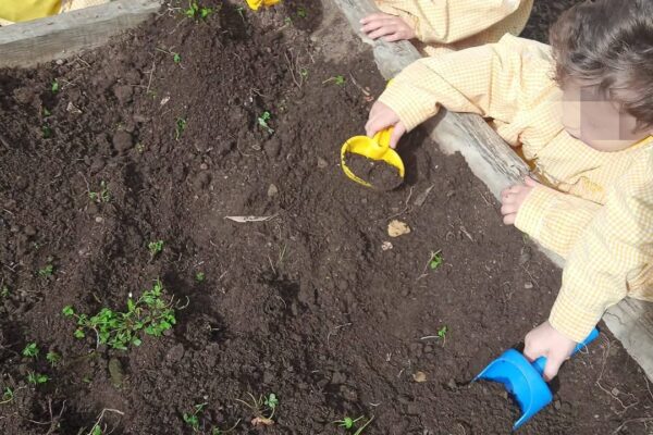 WhatsApp Image 2026-03-05 at 11.32.09 (1)