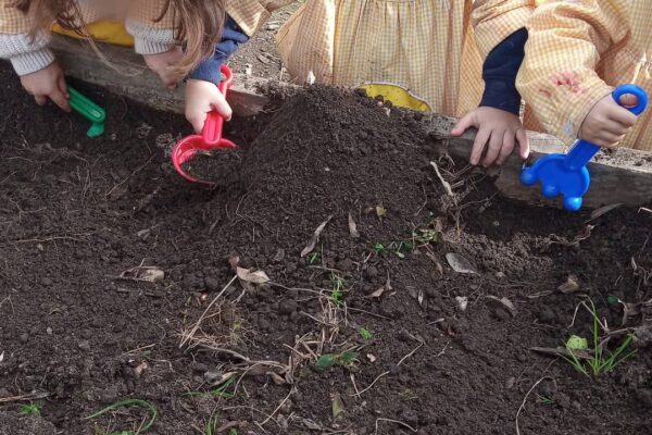 WhatsApp Image 2026-03-05 at 11.32.09 (2)