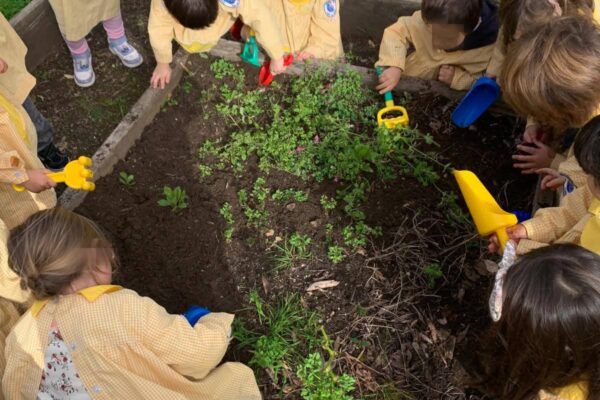 WhatsApp Image 2026-03-05 at 11.32.09 (3)