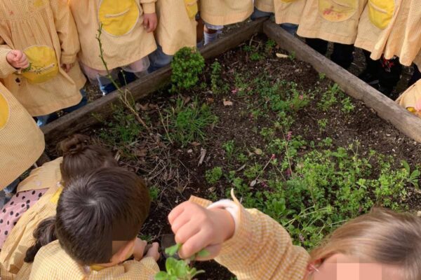 WhatsApp Image 2026-03-05 at 11.32.09 (4)