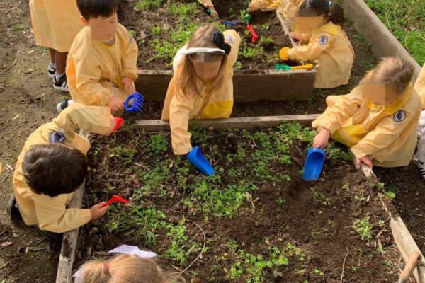 WhatsApp Image 2026-03-05 at 11.32.09 (5)